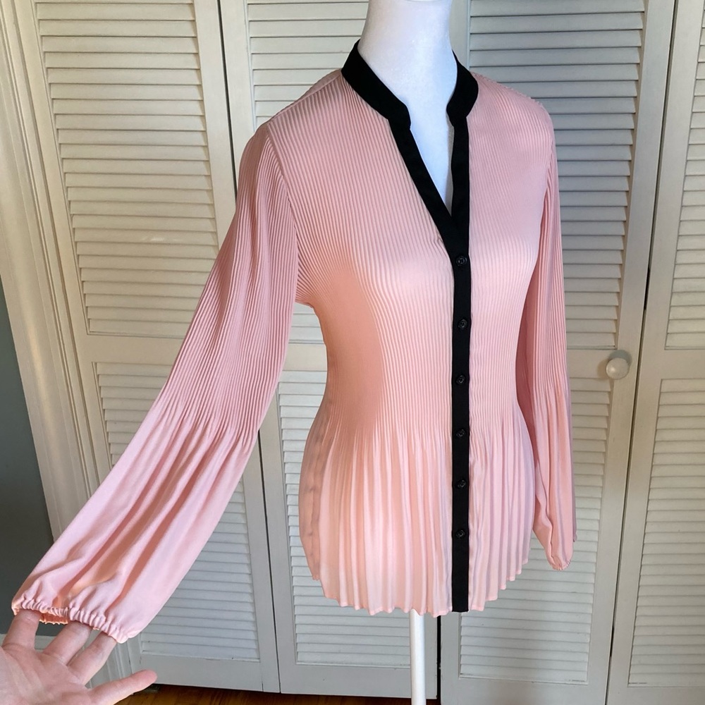 Pleated Sheer Button-Up long sleeved Blouse - Picture 7 of 8